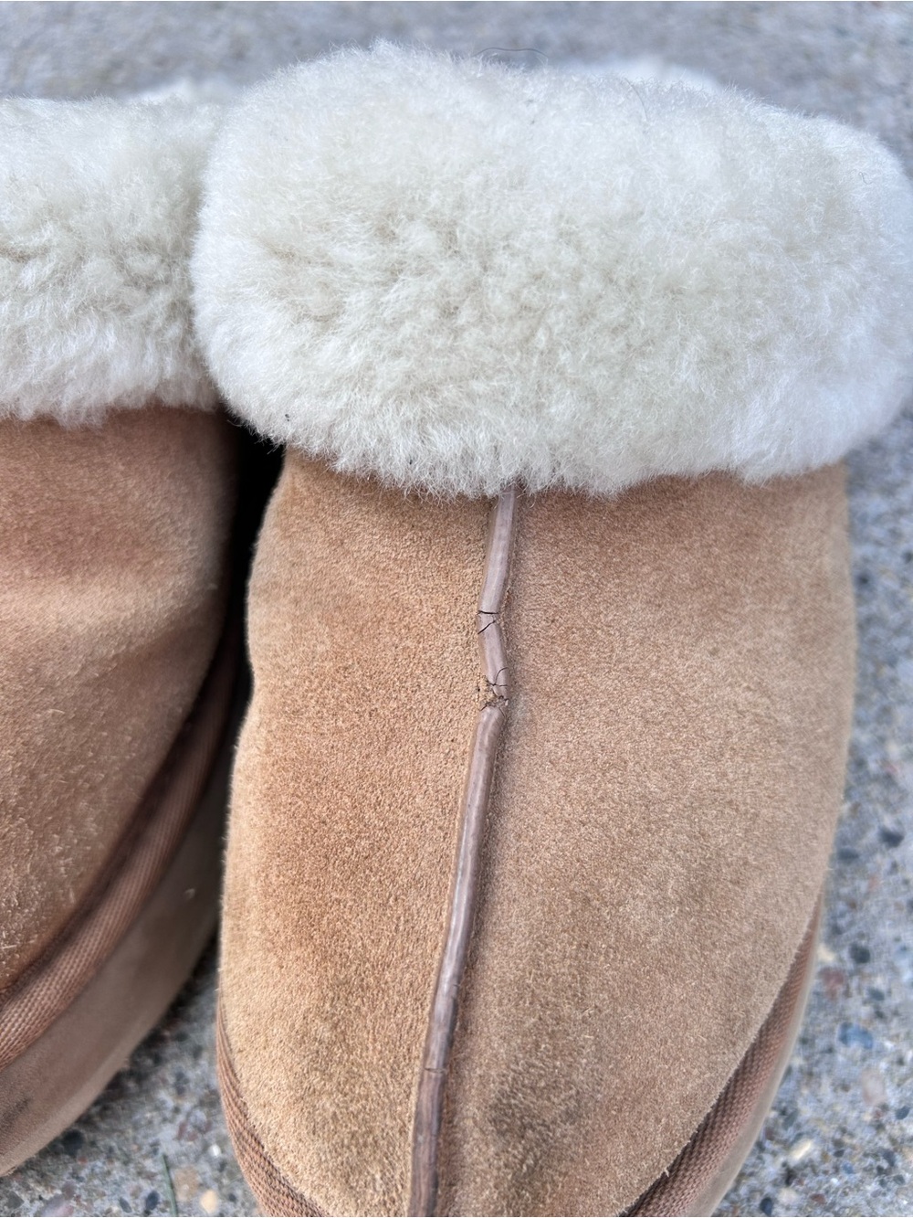 Ugg Women’s Disquette Sheepskin Slippers - Picture 5 of 7